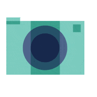 San Francisco Photography Sticker by JCCSF