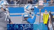 Detroit Lions Football GIF by NFL