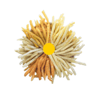 Potato Fries Sticker by ThePotatoHabit_BN