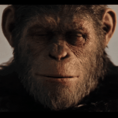 Rest In Peace Monkey GIF