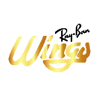 sunglasses Sticker by Ray-ban