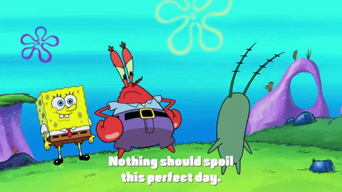 season 9 GIF by SpongeBob SquarePants