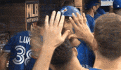 Lets Go Baseball GIF by Toronto Blue Jays