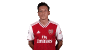 arsenal football soccer celebrate goal Sticker