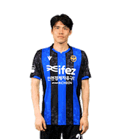 Football Soccer Sticker by Incheon United FC
