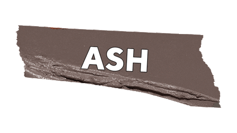 Ash Eyeshadow Sticker by Vice Cosmetics
