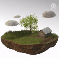 Disasters GIF by FAO