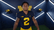Go Blue College Football GIF by Michigan Athletics