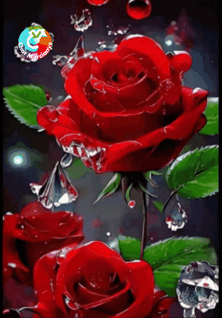 Para Ti Dia GIF by Murcianys LLC