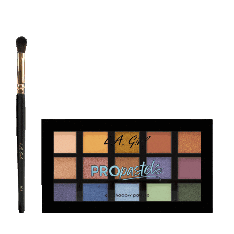 Eyeshadow Palettes Sticker by L.A. Girl