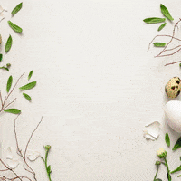 Easter Bunny GIF by STARCUTOUTSUK