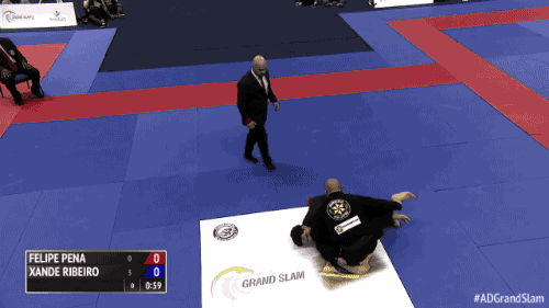 Bjj Jiu-Jitsu GIF by flograppling