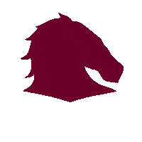 Brisbane Broncos Sticker by NRL