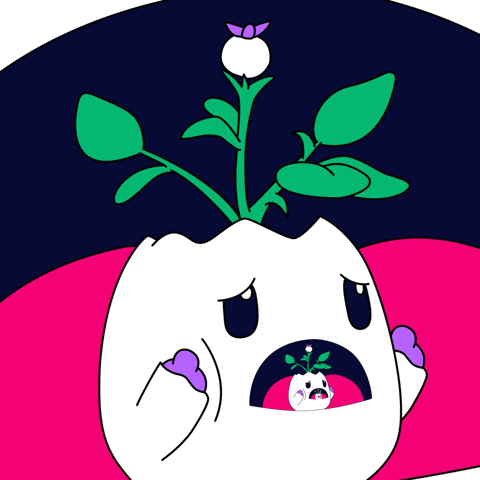 Oh No Omg GIF by Magic Eden