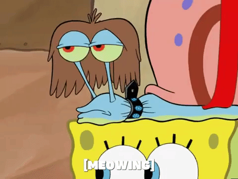 season 6 episode 10 GIF by SpongeBob SquarePants