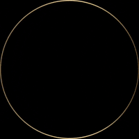 wildatlanticdistillery vodka gin whiskey whisky GIF