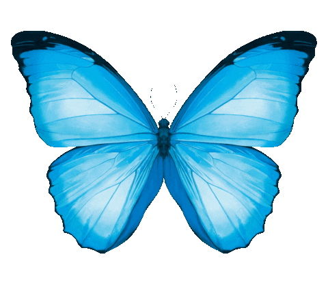 Fashion Spring Sticker by Breuninger