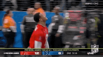 Nfl Pro Bowl Football GIF by NFL