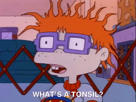 nicksplat rugrats GIF