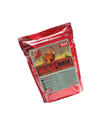 Weight Gain Horseguard Sticker by Horse Guard Equine Supplements