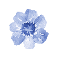 Flower Sticker by Bforbagel