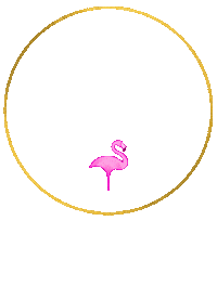 pinkflamingogoldcoast pink fabulous flamingo gold coast Sticker