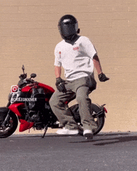 Dance Dancing GIF