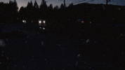 Drive Safe Pine Trees GIF