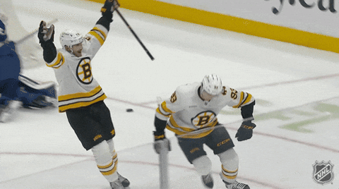 Happy National Hockey League GIF by NHL