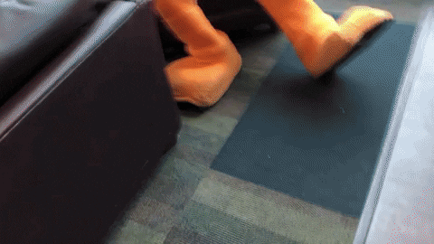 FollowStevens giphygifmaker idk duck i dont know GIF