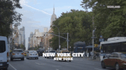 viceland GIF by The Pizza Show