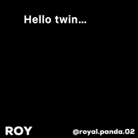 Cat Roy GIF