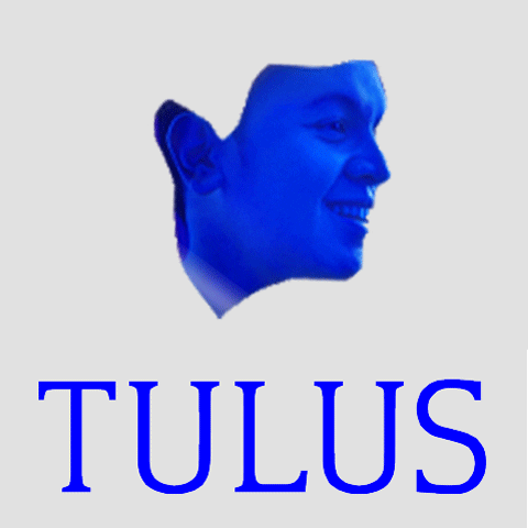 Tuluscompany GIF by Tulus