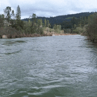 American River Travel GIF by Yevbel