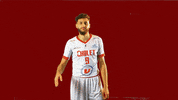 choletbasket sport basketball basket cb GIF