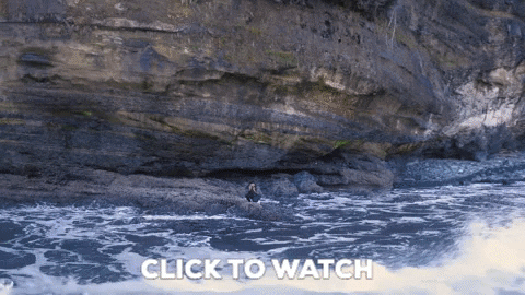 Vancouver Island Drone GIF by AirVuz