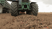 ASA-LIFT vegetables onion harvest carrots GIF
