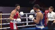 Ggg GIF by Bekzatsport