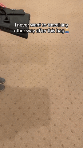 Swillet giphyupload GIF