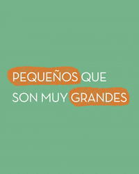 Consume Local La Vecina GIF by Agencia La Vecina