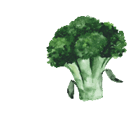 Notchie food red green vegan Sticker