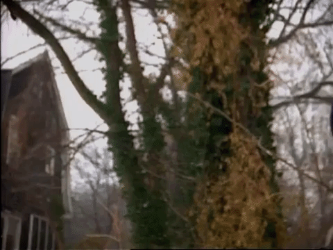 season 3 episode 13 GIF