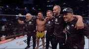 Mixed Martial Arts Sport GIF by UFC