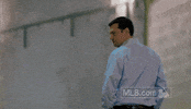 fan lol GIF by MLB