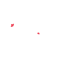 MontrealViagens montreal clubemontreal montrealviagens montreallover Sticker