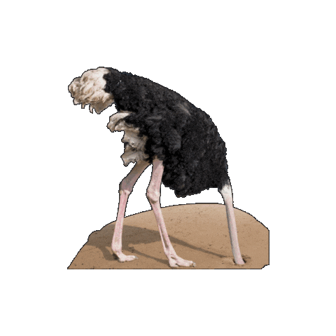 Sticker Bird Sticker