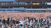 Notre Dame Fan GIF by Notre Dame Fighting Irish