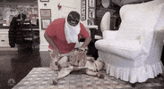 Adam Sandler Snl GIF by Saturday Night Live