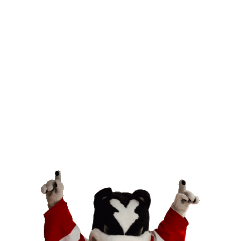 Boston U Bu Sticker by Boston University