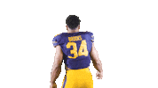 Ncaa Football Brooks Sticker by Cal Athletics